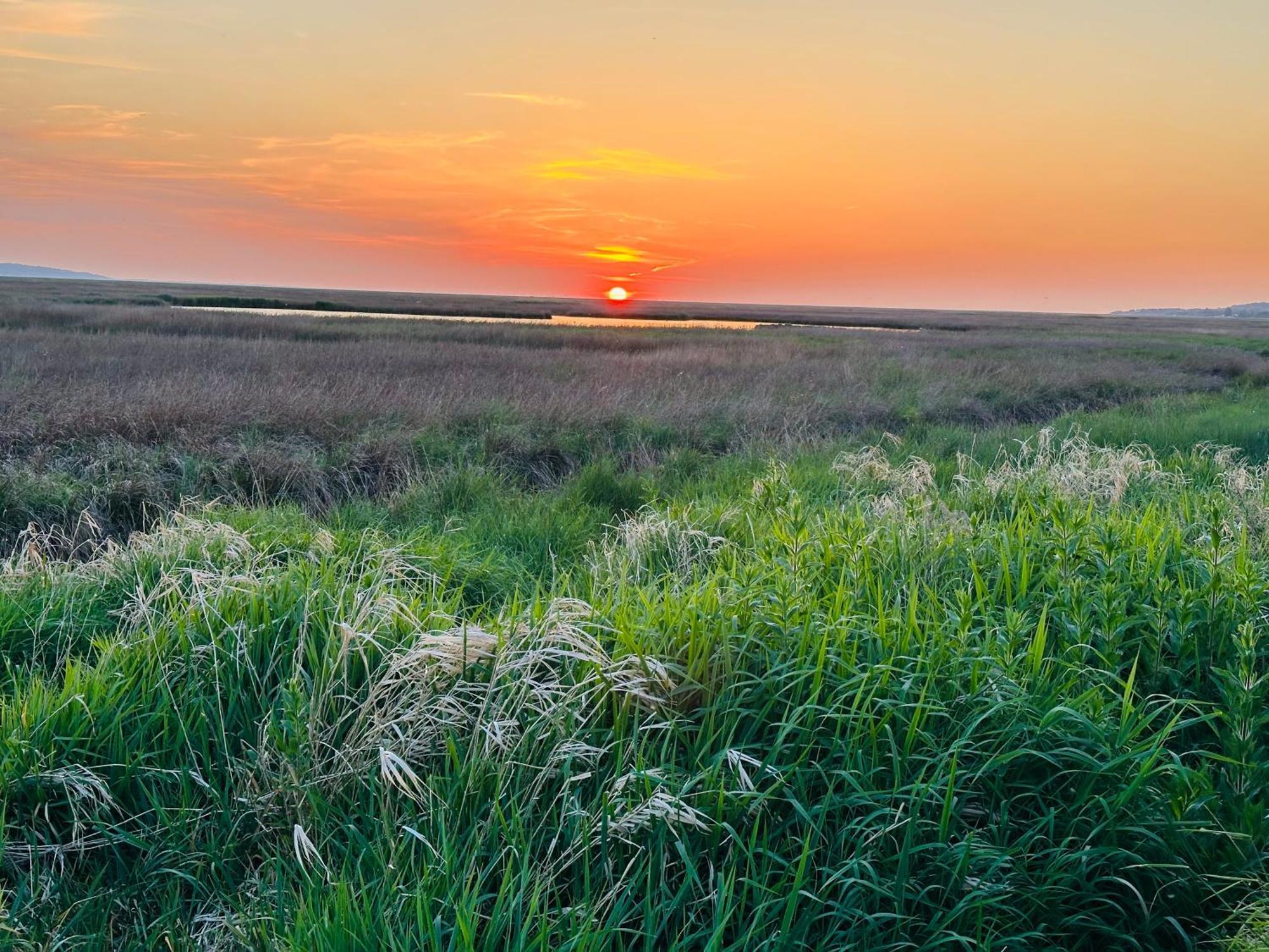 The Rambler'S Rest Cottage, Parkgate, Wirral باركغايْت المظهر الخارجي الصورة